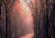 MK体育：七人制橄榄球——香港国际赛邀请赛：中国队不敌中国香港队.