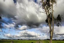 MK体育：萨基：意大利与德国间有差距，现在的目标是晋级下届世界杯.