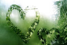 ESPN：利雅得新月主帅若热-热苏斯是巴西队换帅的首选.